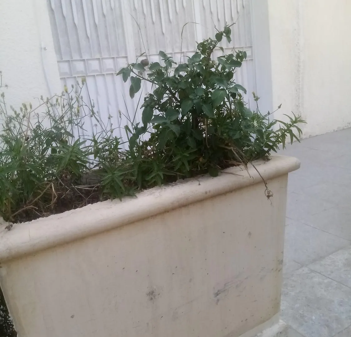 Cit Y Khadra Lägenhet Tunis 0*,
